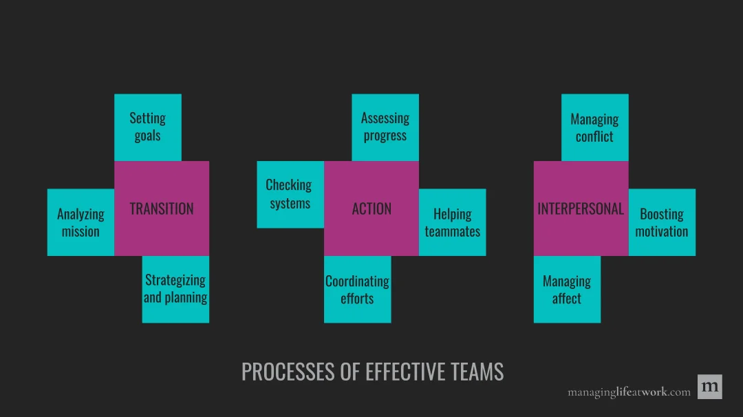 Processes of effective teams: Transition, action, and interpersonal.