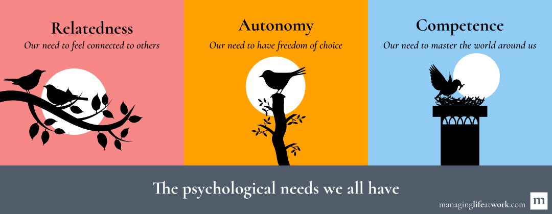 Our psychological needs: relatedness, autonomy, and competence.